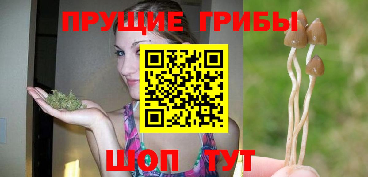 Галлюциногенные грибы мухоморы Жигулёвск